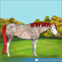 Horse Color:Painted Brown Ice Dun Splash Rabicano 