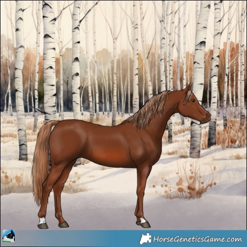 Horse Color:Chestnut 