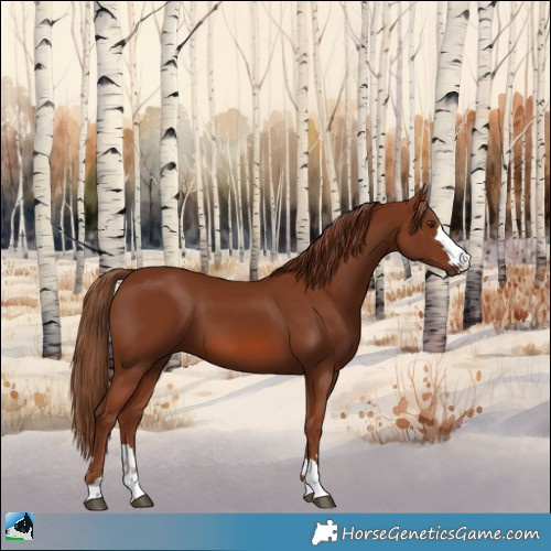 Horse Color:Chestnut 