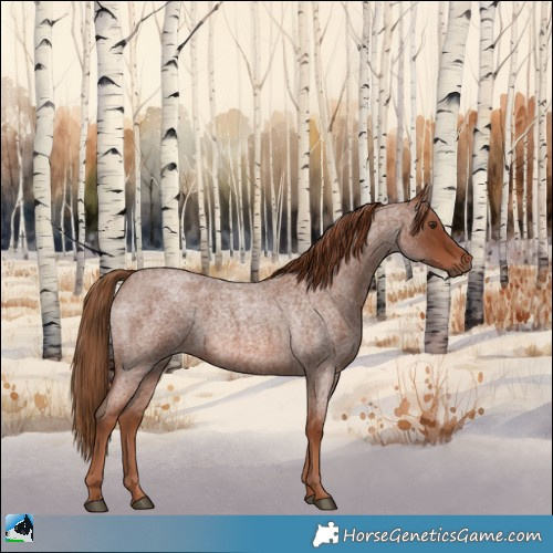 Horse Color:Red Roan 