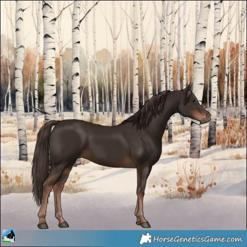 Horse Color:Liver Chestnut 