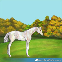 Horse Color:Watercolor Silver Brown Ice Tobiano 