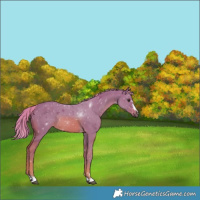 Horse Color:Watercolor Chestnut 