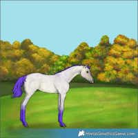 Horse Color:Watercolor Bay Roan Dun 
