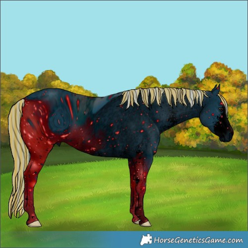 Horse Color:ERROR: UNKNOWN ANOMALY