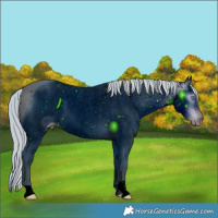 Horse Color:ERROR: UNKNOWN ANOMALY