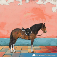 Horse Color:White Spotted Smoky Black and White Spotted Buckskin