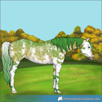 Horse Color:Watercolor Bay Sabino Splash Rabicano 