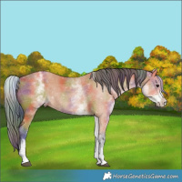 Horse Color:Nacre White Spotted Bay 