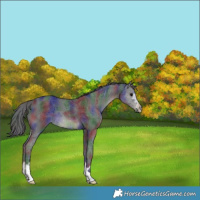 Horse Color:Nacre Black 