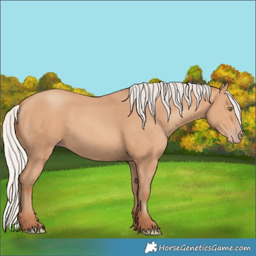 Horse Color:Silver Amber Champagne 