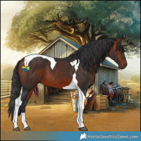 Horse Color:Bay Tobiano 