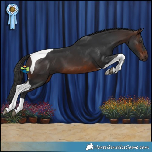 Horse Color:Brown Tobiano 