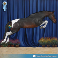 Horse Color:Brown Tobiano 
