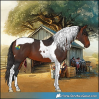 Horse Color:Bay Tobiano 
