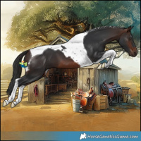 Horse Color:Brown Tobiano 