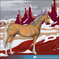 Horse Color:White Spotted Palomino 