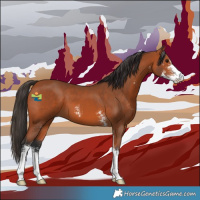Horse Color:Bay Sabino 