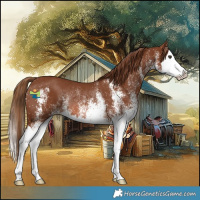 Horse Color:White Spotted Chestnut Splash Rabicano