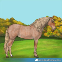 Horse Color:Red Roan