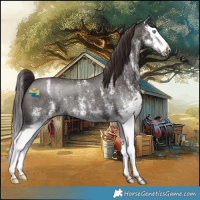 Horse Color:White Spotted Liver Chestnut Splash Rabicano 