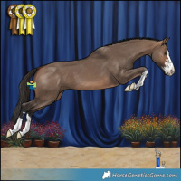 Horse Color:Bay Dun 