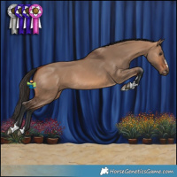Horse Color:Bay Dun Rabicano 