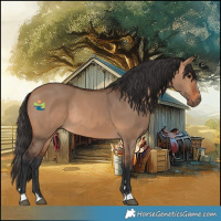 Horse Color:Bay Dun Rabicano