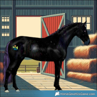Horse Color:ERROR: UNKNOWN ANOMALY