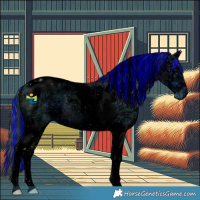 Horse Color:ERROR: UNKNOWN ANOMALY