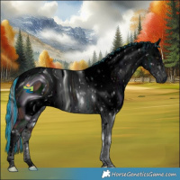 Horse Color:ERROR: UNKNOWN ANOMALY