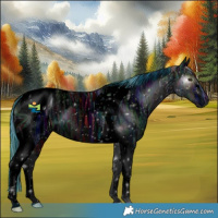 Horse Color:ERROR: UNKNOWN ANOMALY