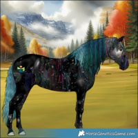 Horse Color:ERROR: UNKNOWN ANOMALY
