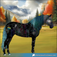 Horse Color:ERROR: UNKNOWN ANOMALY