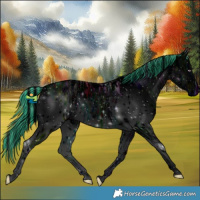 Horse Color:ERROR: UNKNOWN ANOMALY