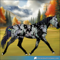 Horse Color:ERROR: UNKNOWN ANOMALY