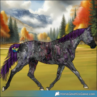 Horse Color:ERROR: UNKNOWN ANOMALY