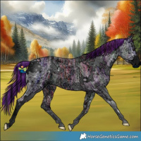 Horse Color:ERROR: UNKNOWN ANOMALY