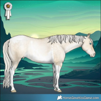 Horse Color:Silver Buckskin Pearl Dun Tobiano Appaloosa Rabicano