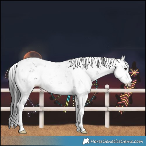 Horse Color:Black Sabino 
