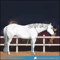 Horse Color:Black Sabino