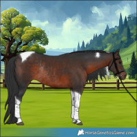 Horse Color:Brown Tobiano Rabicano 
