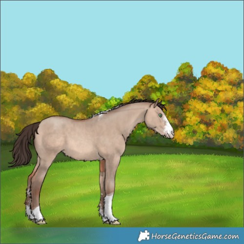 Horse Color:Sable Champagne Dun Sabino Tobiano 