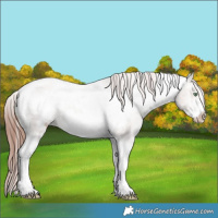 Horse Color:Sable Champagne Dun Sabino Tobiano Frame Varnish Rabicano