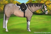 Horse Color:Buckskin Roan Splash 