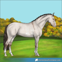 Horse Color:Classic Champagne Roan Dun Sabino 