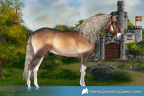 Horse Color:Chocolate Palomino Onyx 
