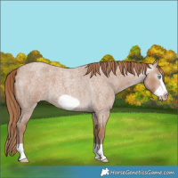 Horse Color:Gray Chocolate Smoky Creme Roan Frame 