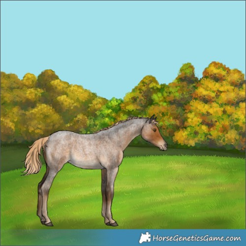 Horse Color:Chocolate Palomino Roan Rabicano 