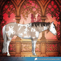 Horse Color:White Spotted Sable Champagne Dun Splash Rabicano